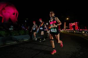 BIB: 
                            <button type="button" onclick="openModal(26552570)" class="btn btn-primary btn-sm float-right btn-popup" data-toggle="modal" data-target=".modal-high-quality">
                        <i class="fas fa-shopping-cart"></i> Add to Cart
                    </button>
                                            <button type="button" onclick="isThisMe(26552570, true)" class="btn btn-success btn-sm float-right btn-popup btn-isme hidden" data-toggle="tooltip" data-placement="bottom" title="นี่คือรูปของคุณใช่ไหม คลิกที่นี่เพื่อเอาเข้าอัลบั้ม">
                        <i class="fas fa-plus"></i> Add to album
                    </button>
                    <button type="button" onclick="isThisMe(26552570, false)" class="btn btn-warning btn-sm float-right btn-popup btn-isnotme hidden">
                        <i class="fas fa-ban"></i> Remove from album
                    </button>